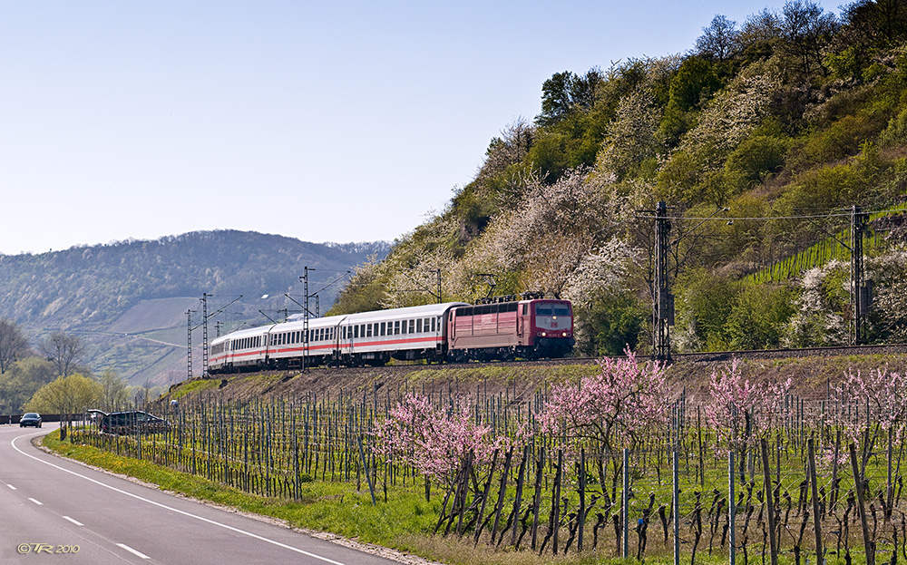 Frühling