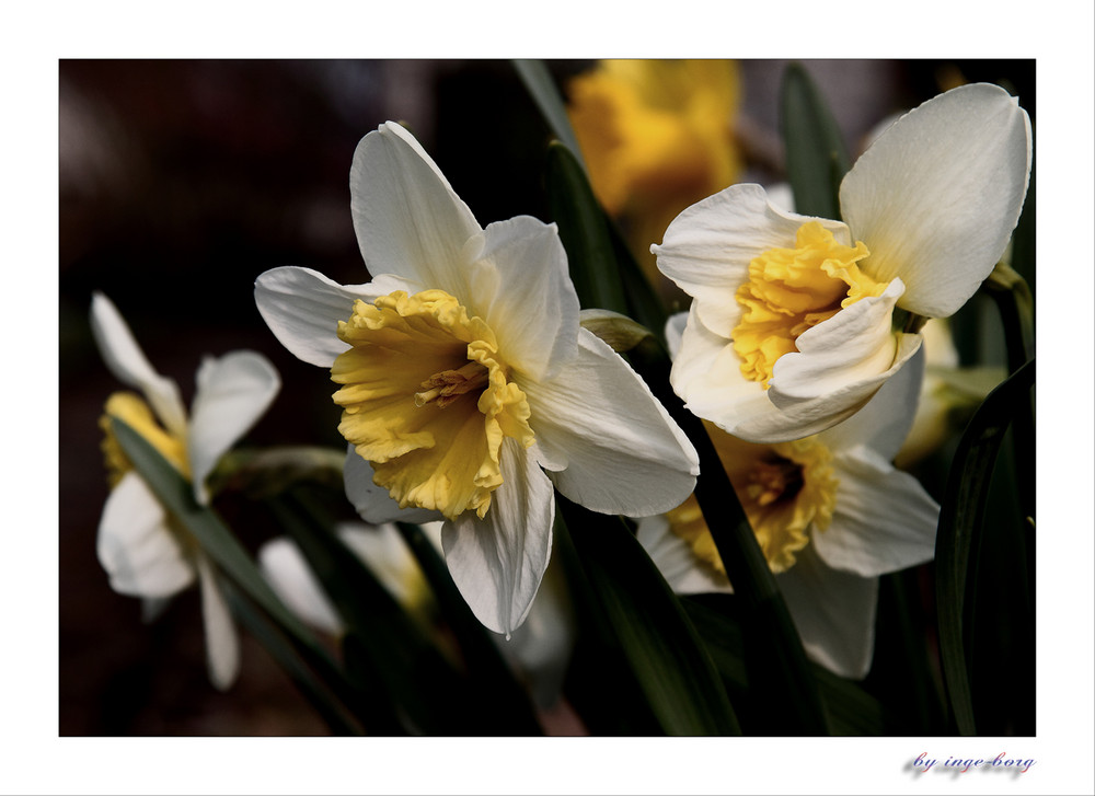 Frühling....