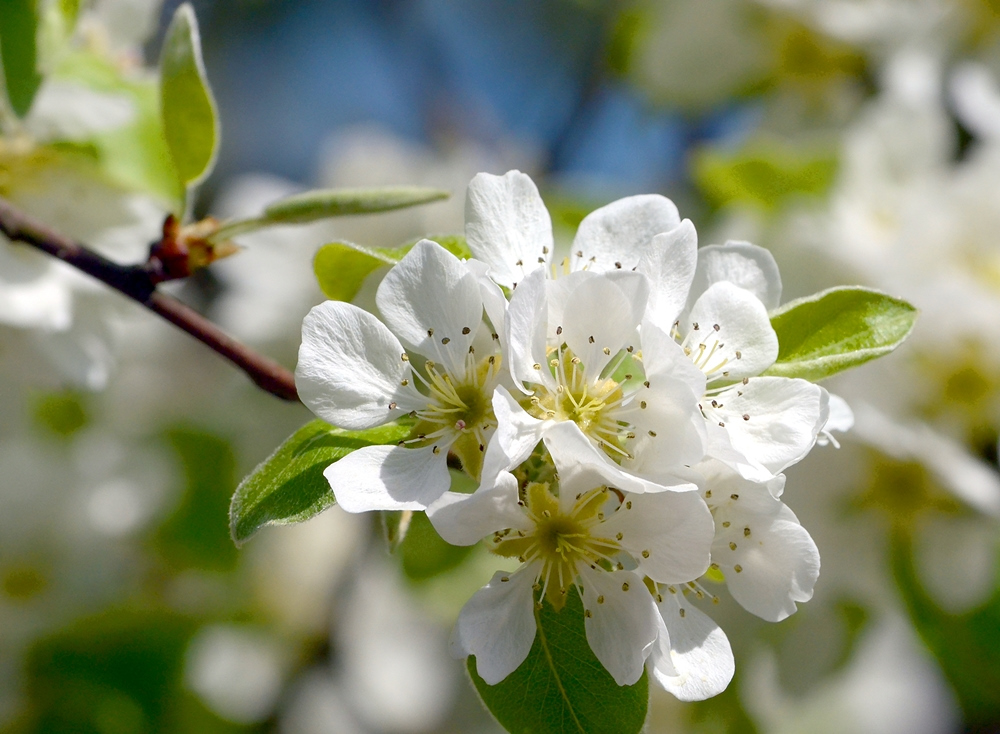 Frühling...