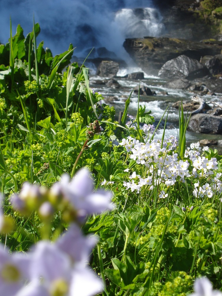 Frühling