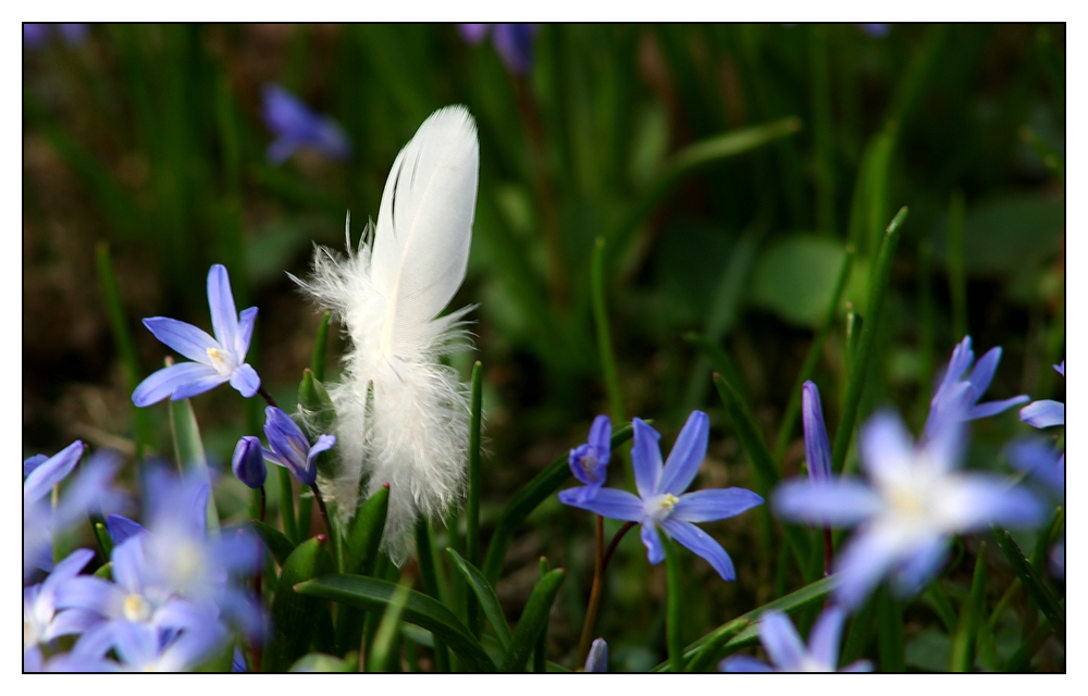 Frühling federleicht