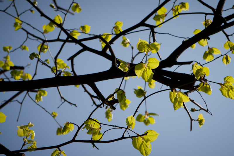 Frühling