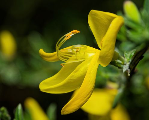 FRÜHLING FLÜSTERT: ES IST OSTERN