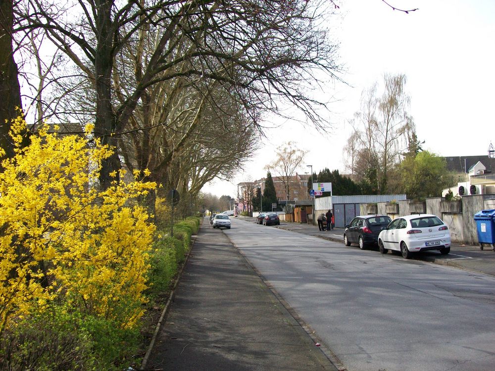 Frühling Fröbelstr. Langenfeld