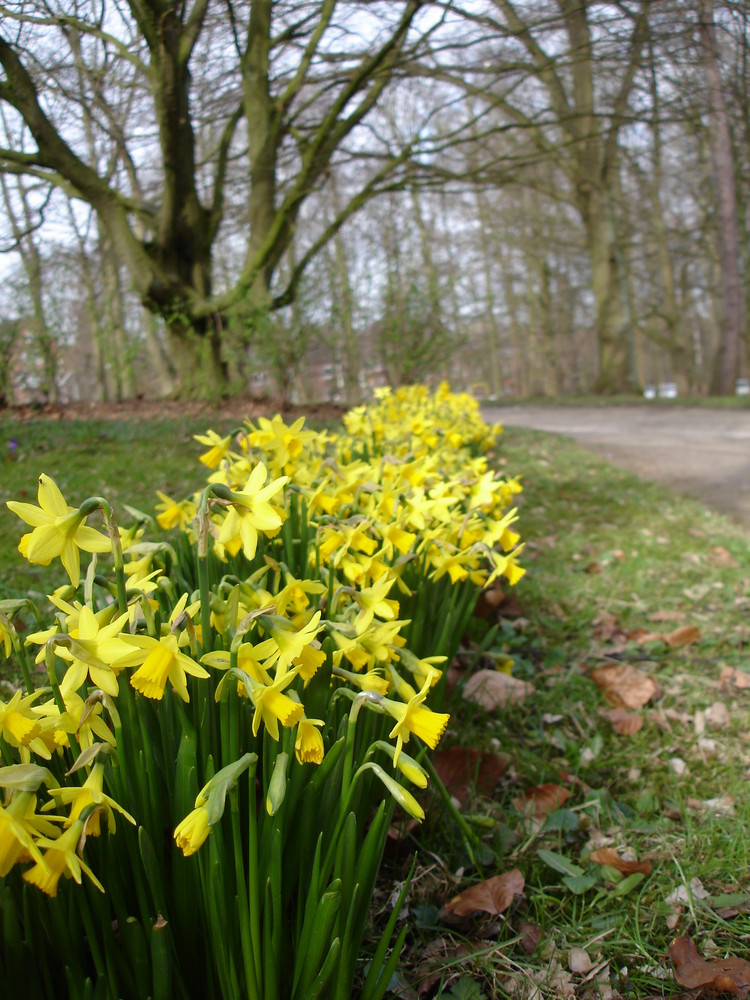 Fruehling-Fruehling