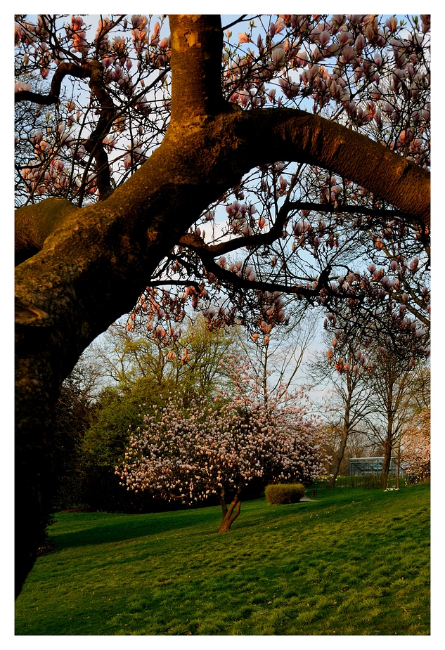 Frühling für Langschläfer