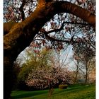 Frühling für Langschläfer