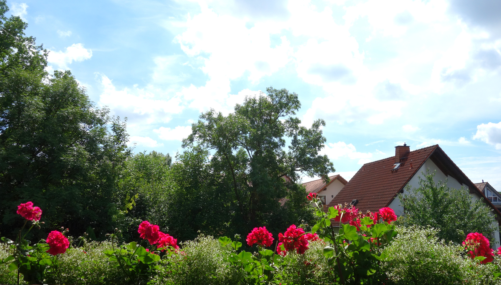 Frühling-für-Mittwoch-