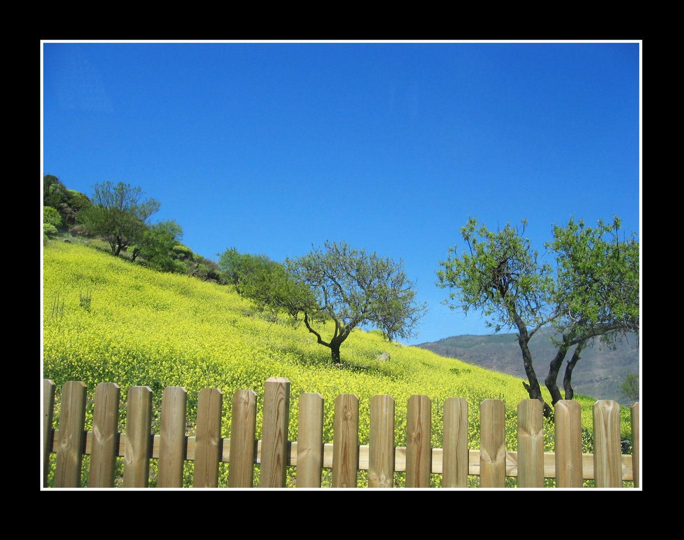 Frühling ganz im Süden