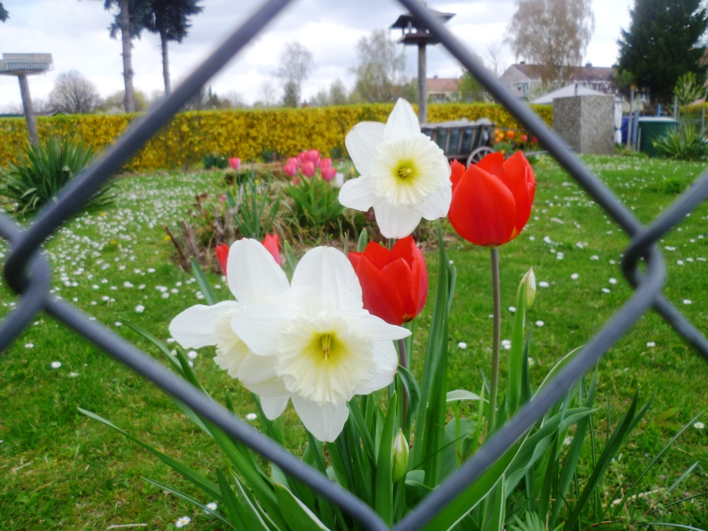 Frühling gefangen