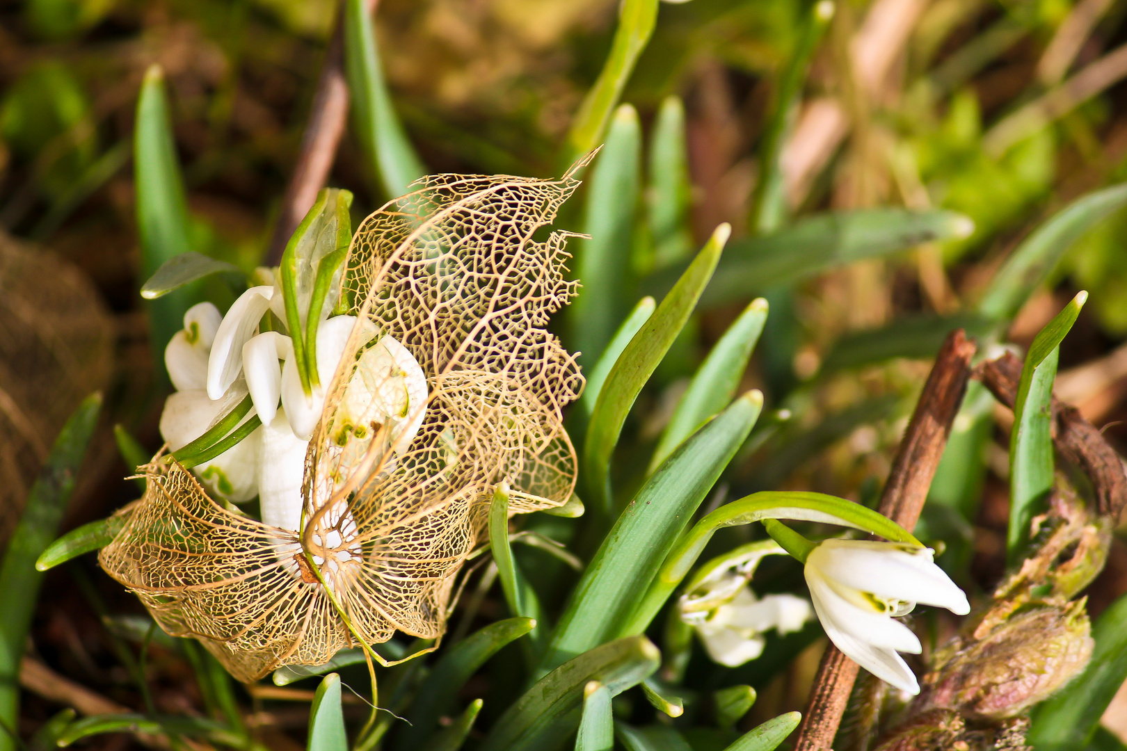 Frühling gefangen in alten Strukturen