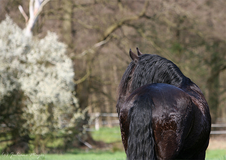 Frühling genießen