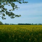 ...Frühling genießen...