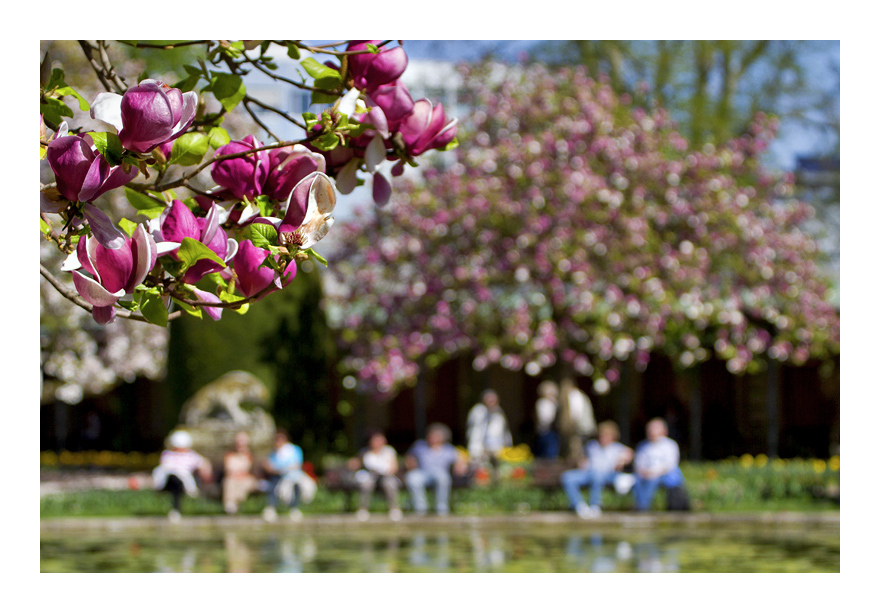 Frühling genießen