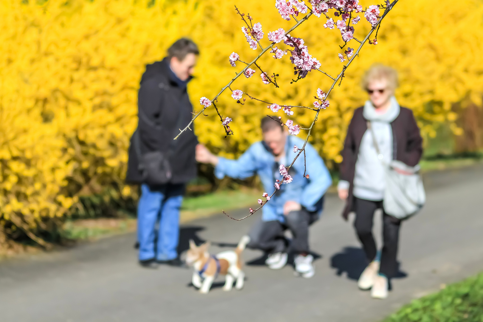 Frühling genießen