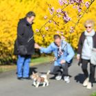 Frühling genießen