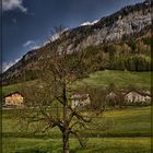 Frühling gibts auch in Frankreich