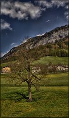 Frühling gibts auch in Frankreich