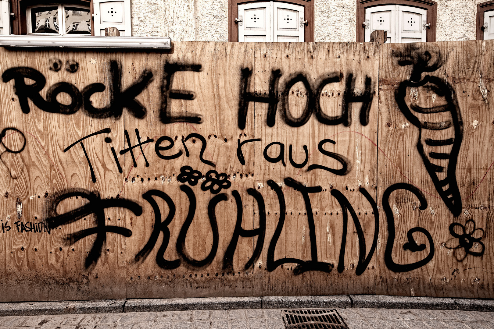 "Frühling"-Graffiti in Heidelberg