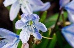 Frühling hält Einzug