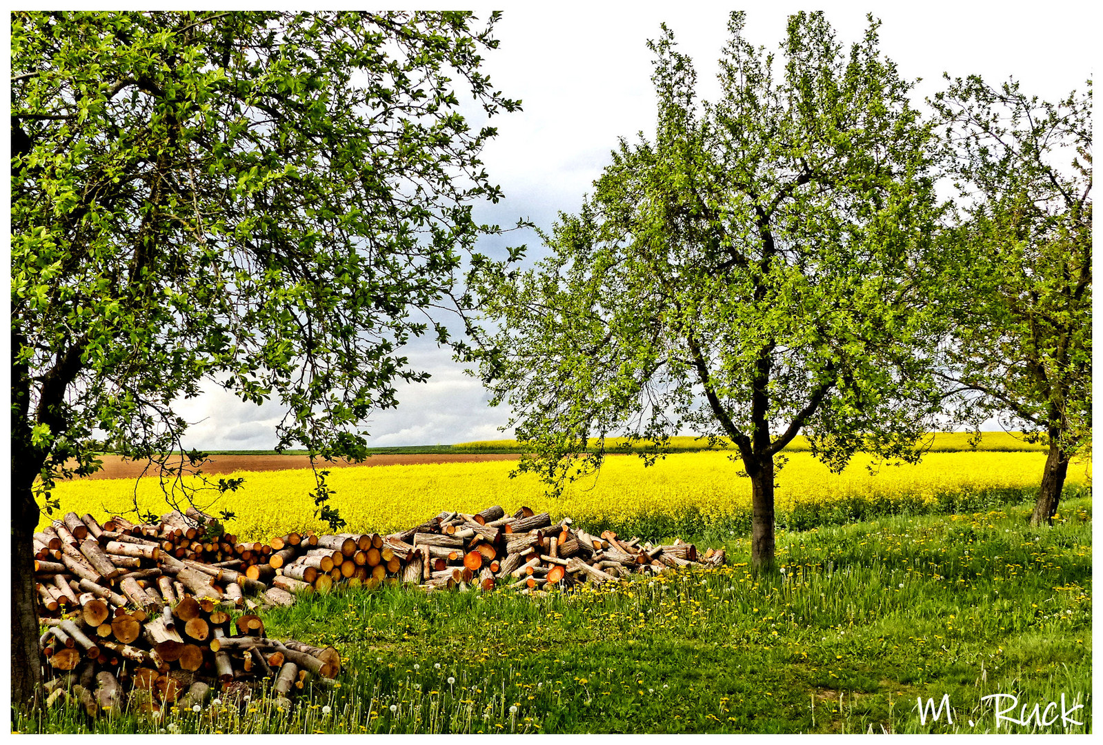 Frühling halt !