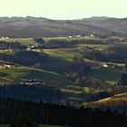 Frühling hat viele Gesichter