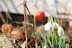 Frühling & Herbst