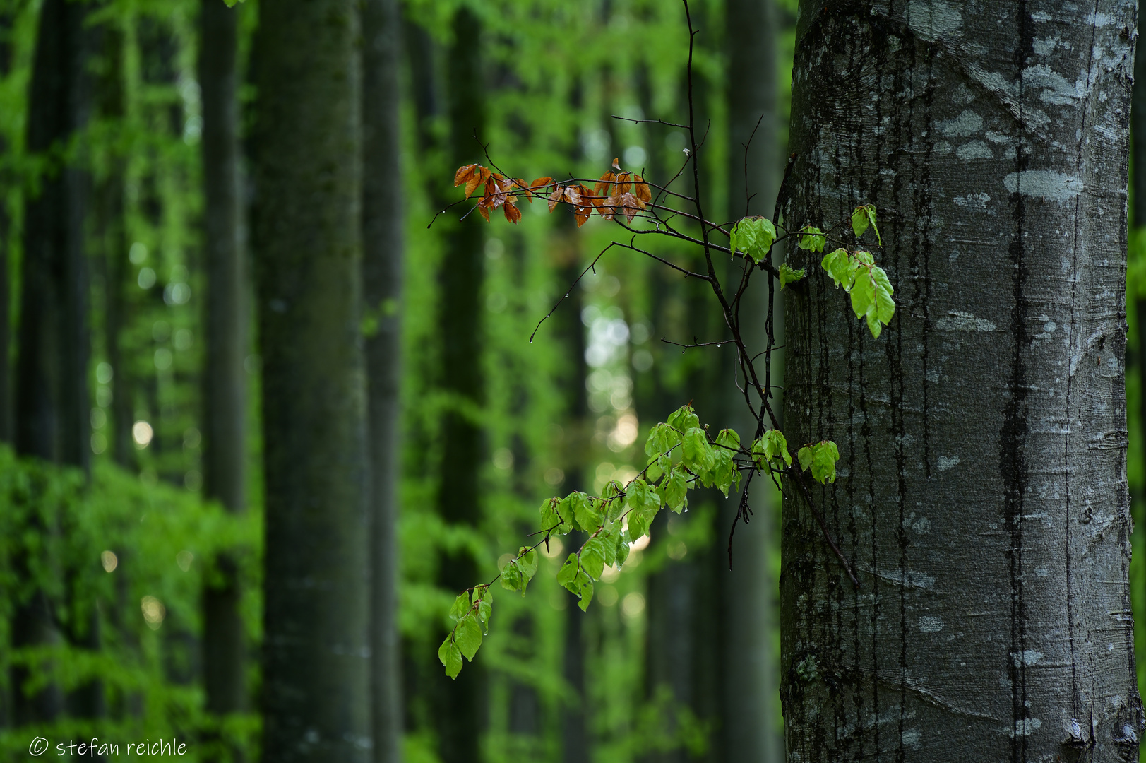 ** Frühling & Herbst **