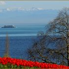 Frühling, Herbst und Winter