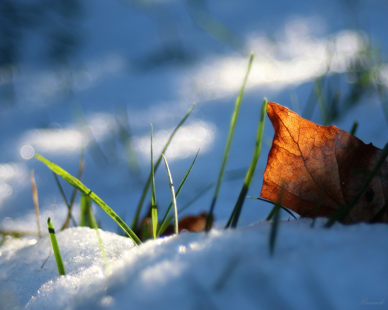 Frühling - Herbst und Winter