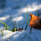 Frühling - Herbst und Winter