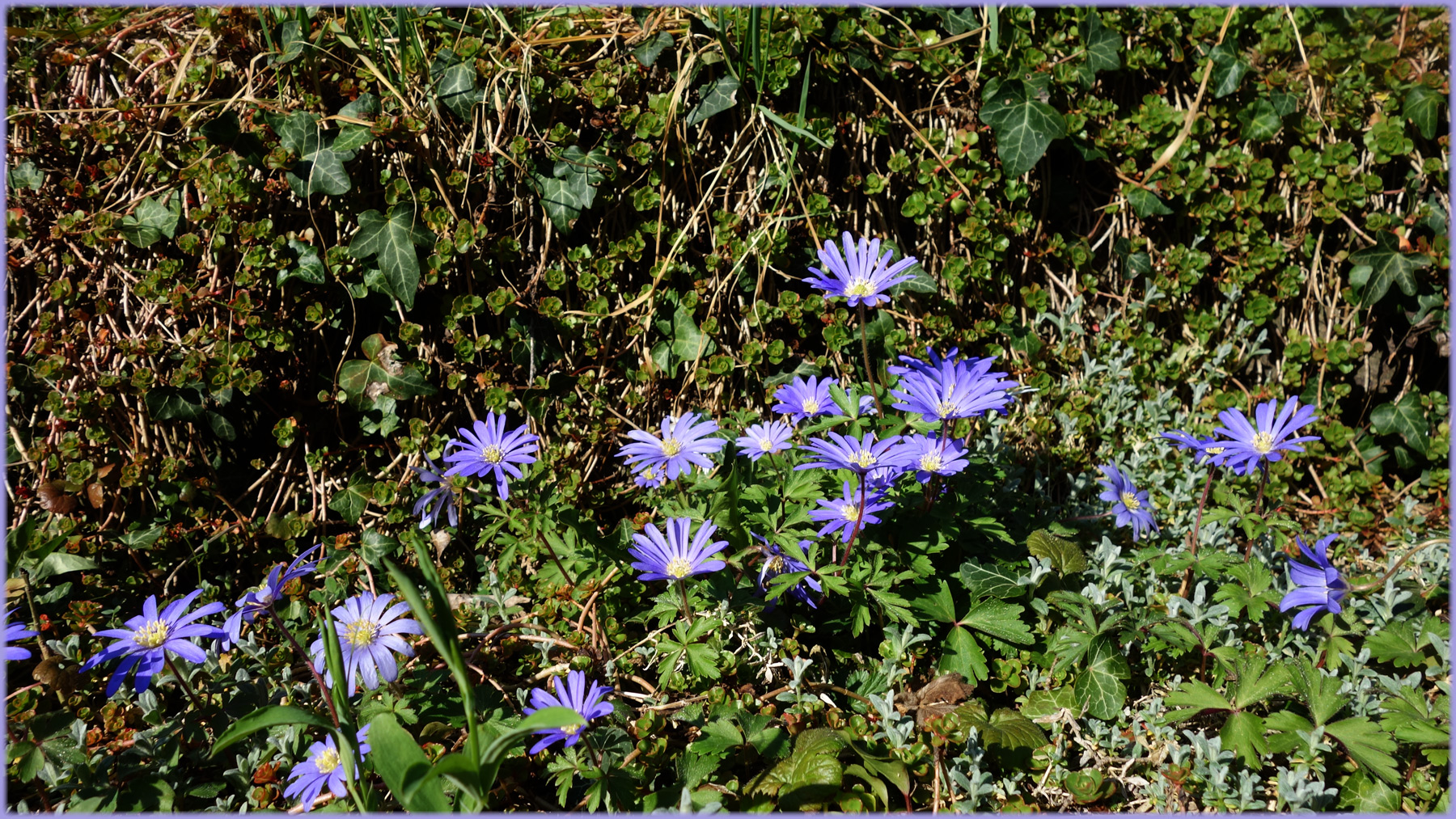 Frühling-heute-