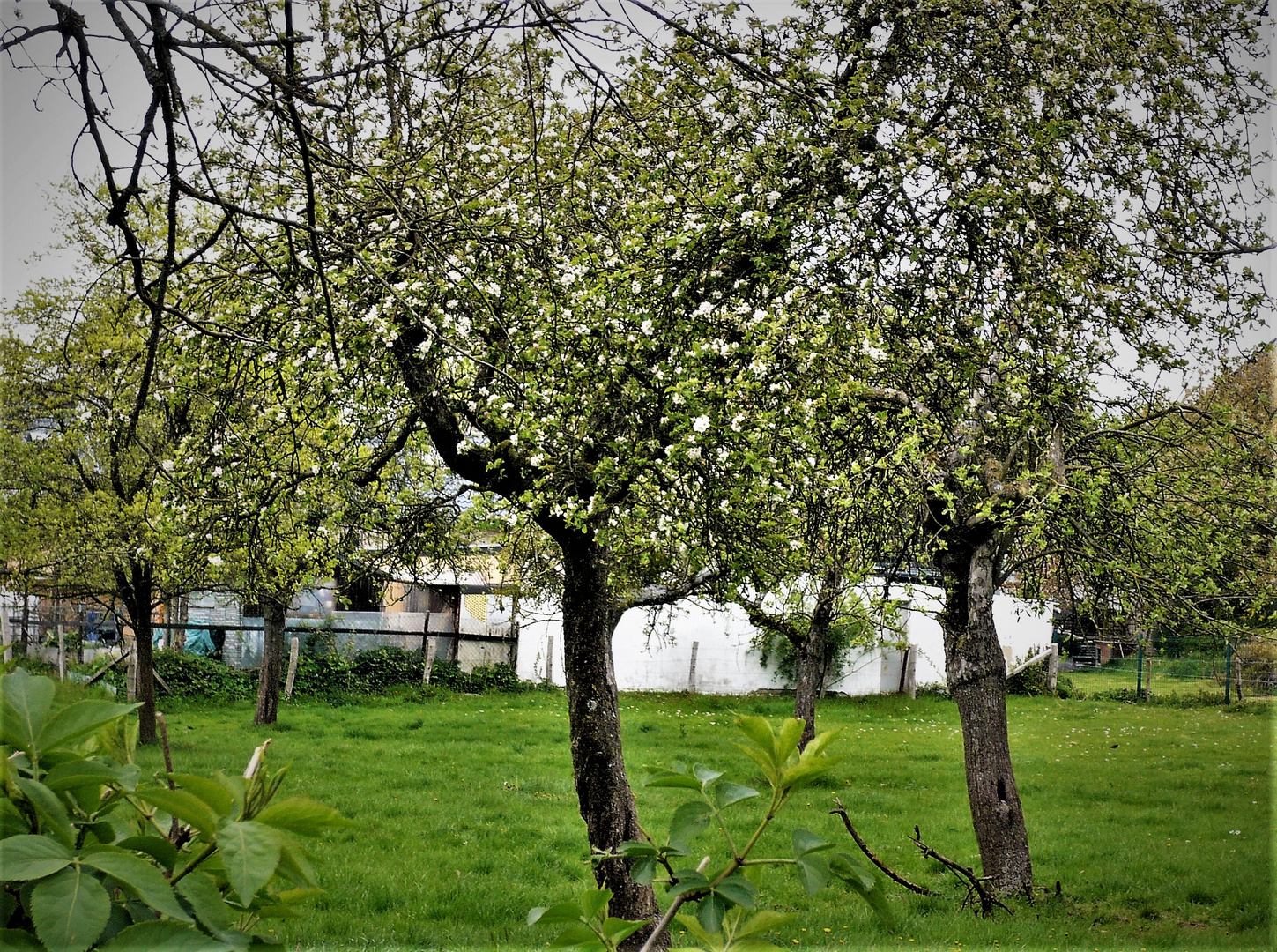 --  Frühling hielt auch  ..  ..