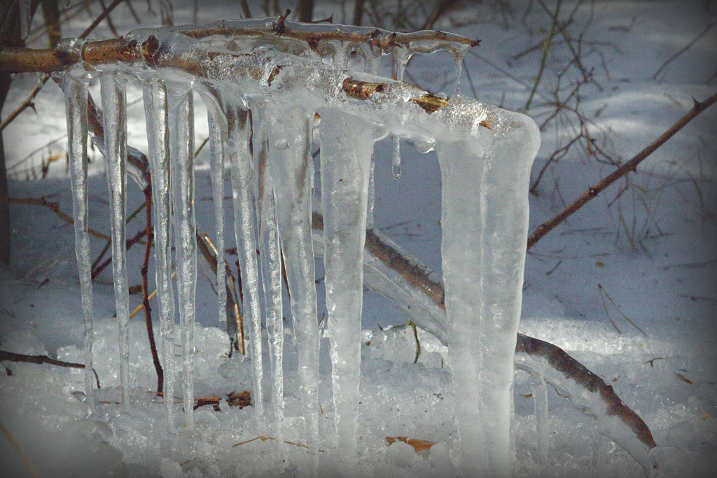 Frühling ? Hier hat der Winter die Natur noch voll unter Kontrolle