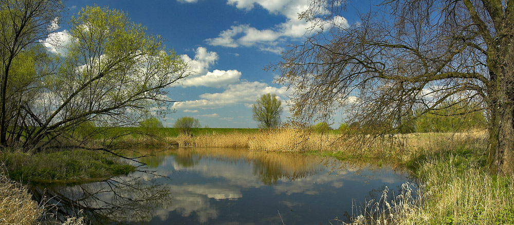 Frühling hinterm Deich