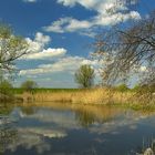 Frühling hinterm Deich