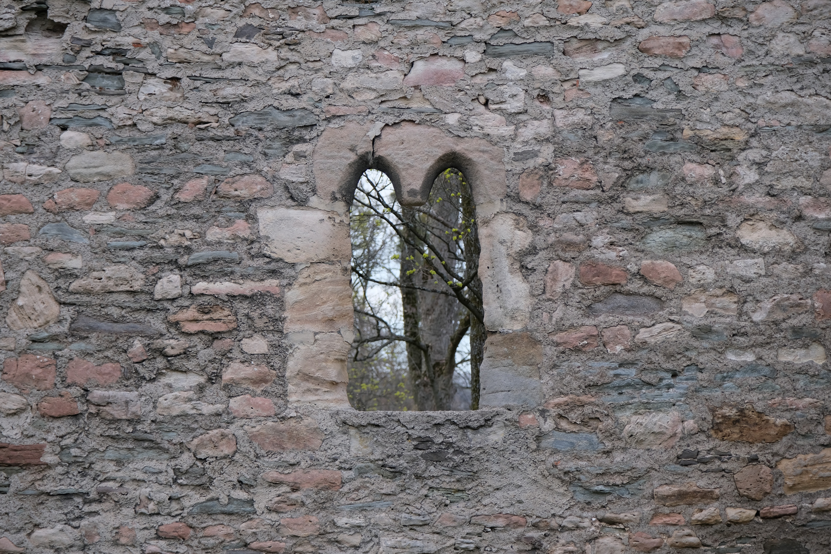 Frühling hinterm Fenster