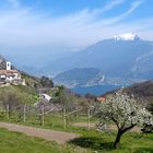 Frühling hoch überm Gardasee