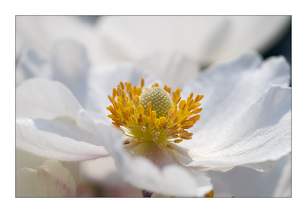 Frühling I