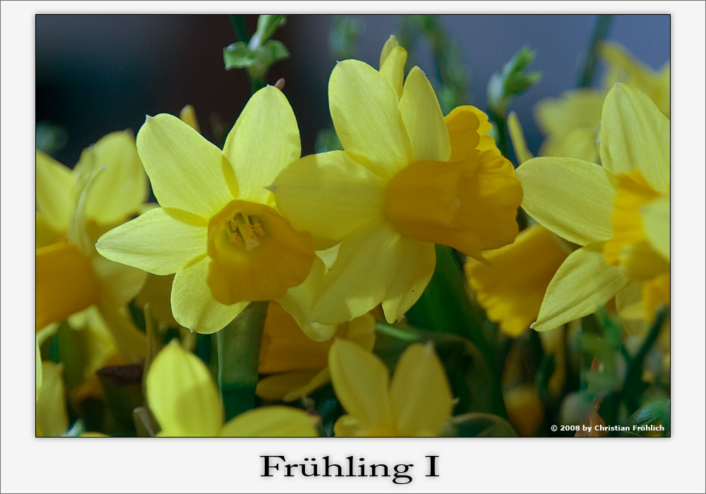 Frühling I