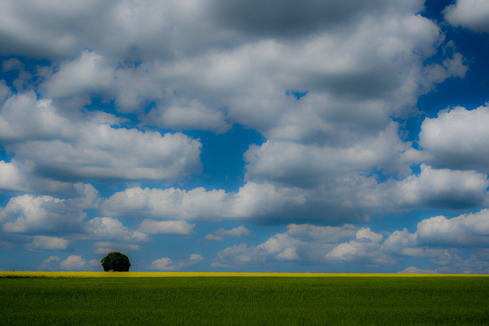 Frühling II