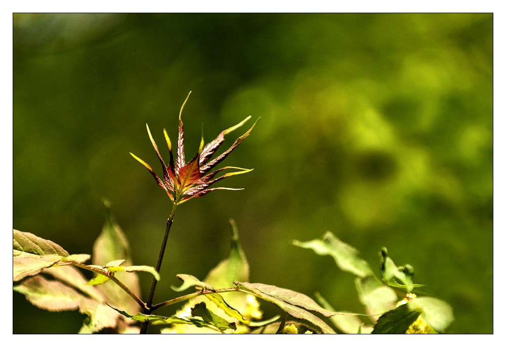 Frühling II