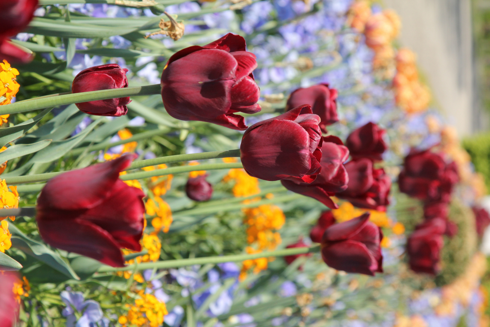 Frühling II