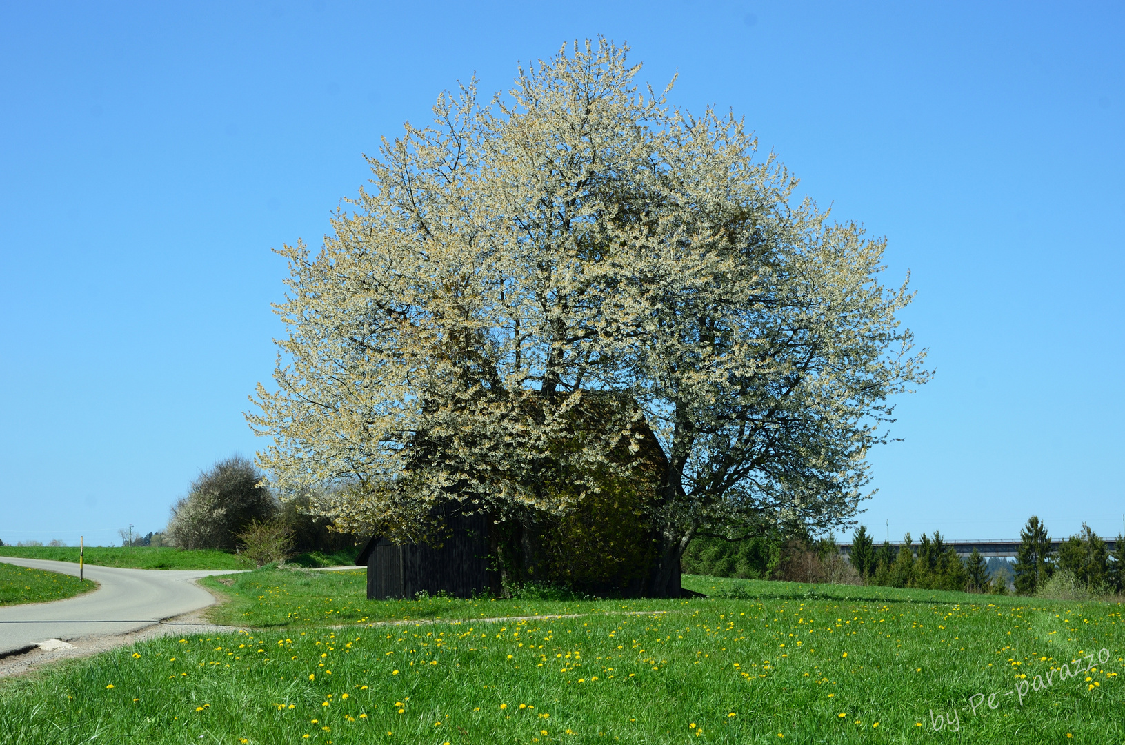 Frühling II