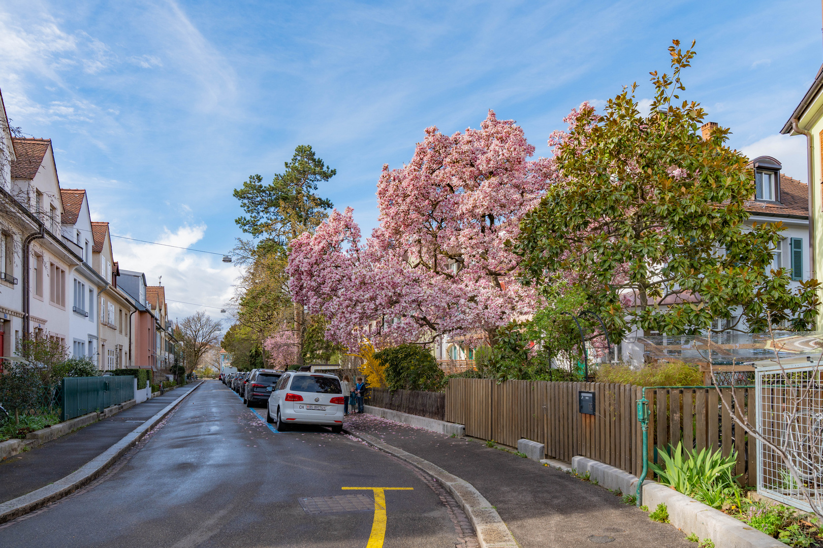 Frühling II 