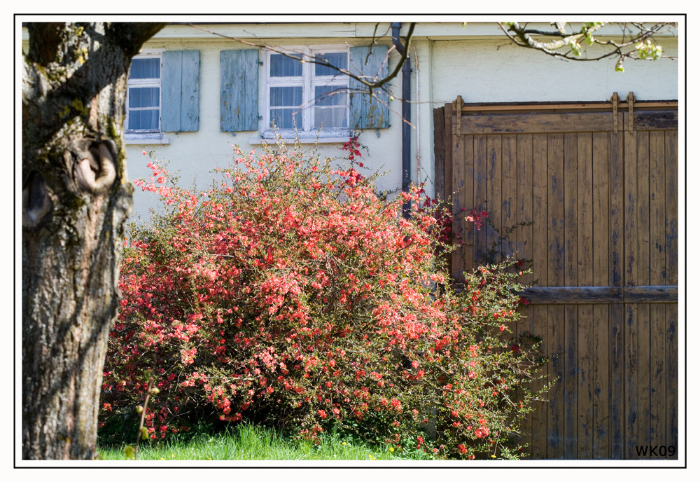 Frühling II - aber nicht für dieses Haus