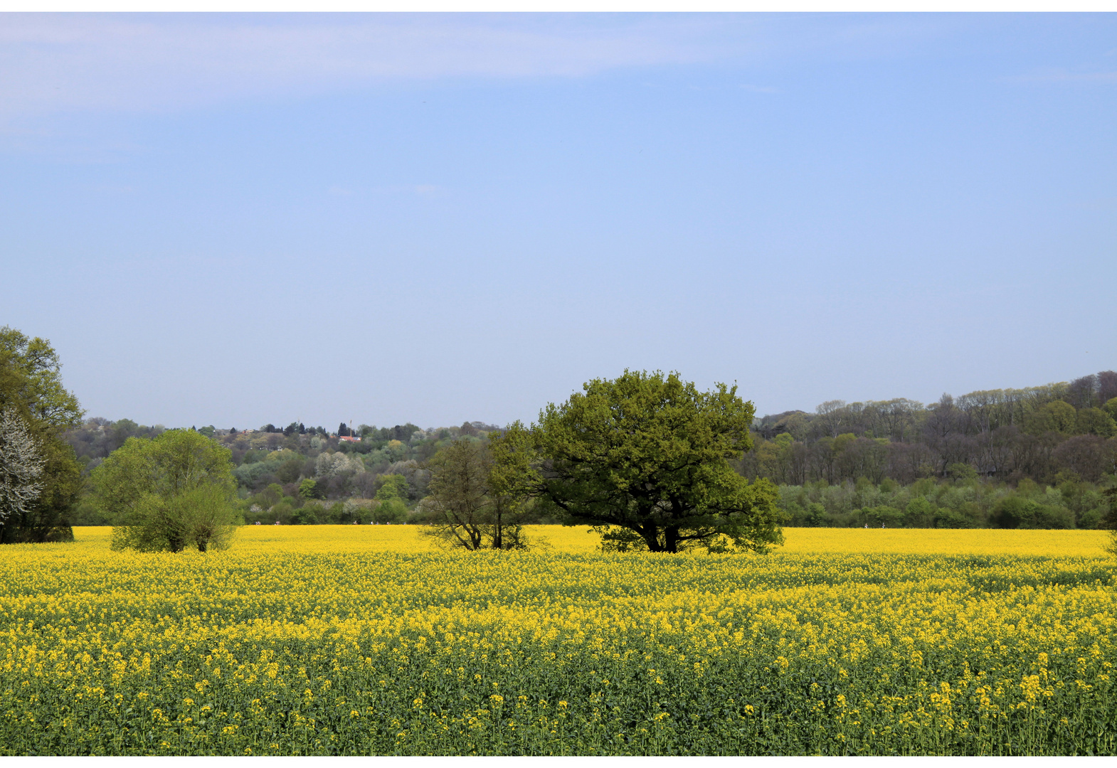 FRÜHLING II