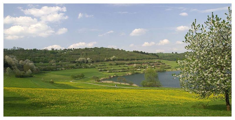 Frühling II in der Eifel