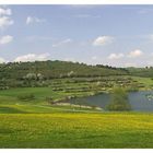 Frühling II in der Eifel