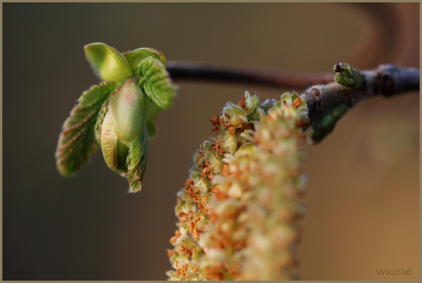 Frühling III